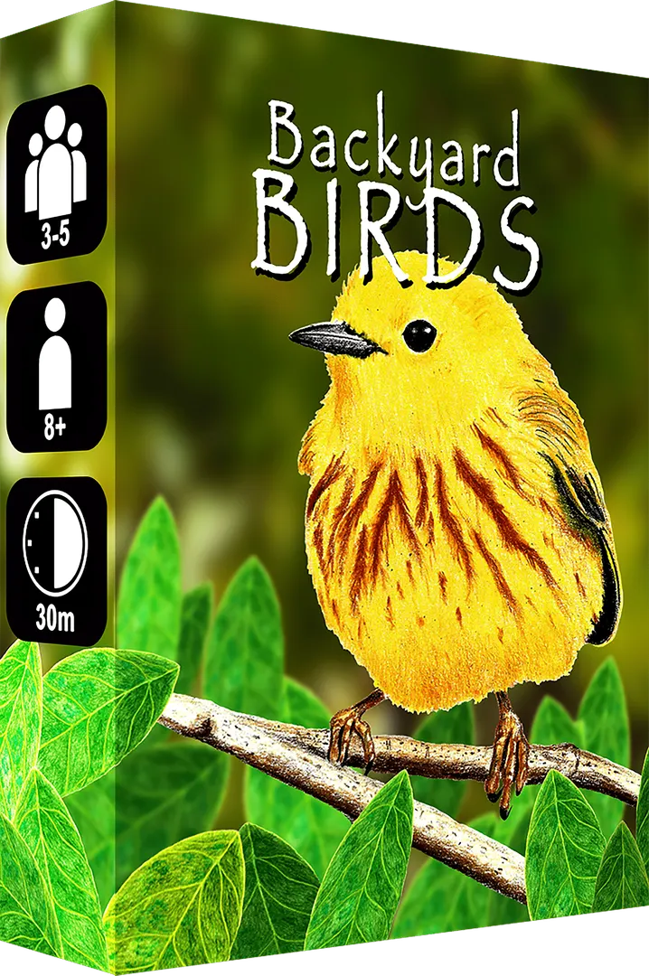 Backyard Birds