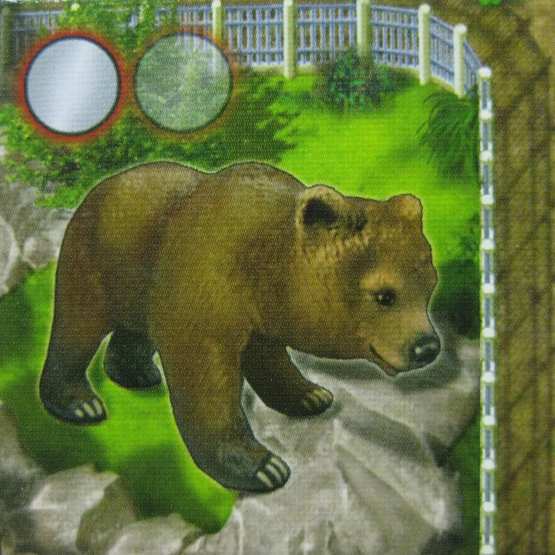 Zooloretto: Grizzly